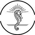 ado-baseline